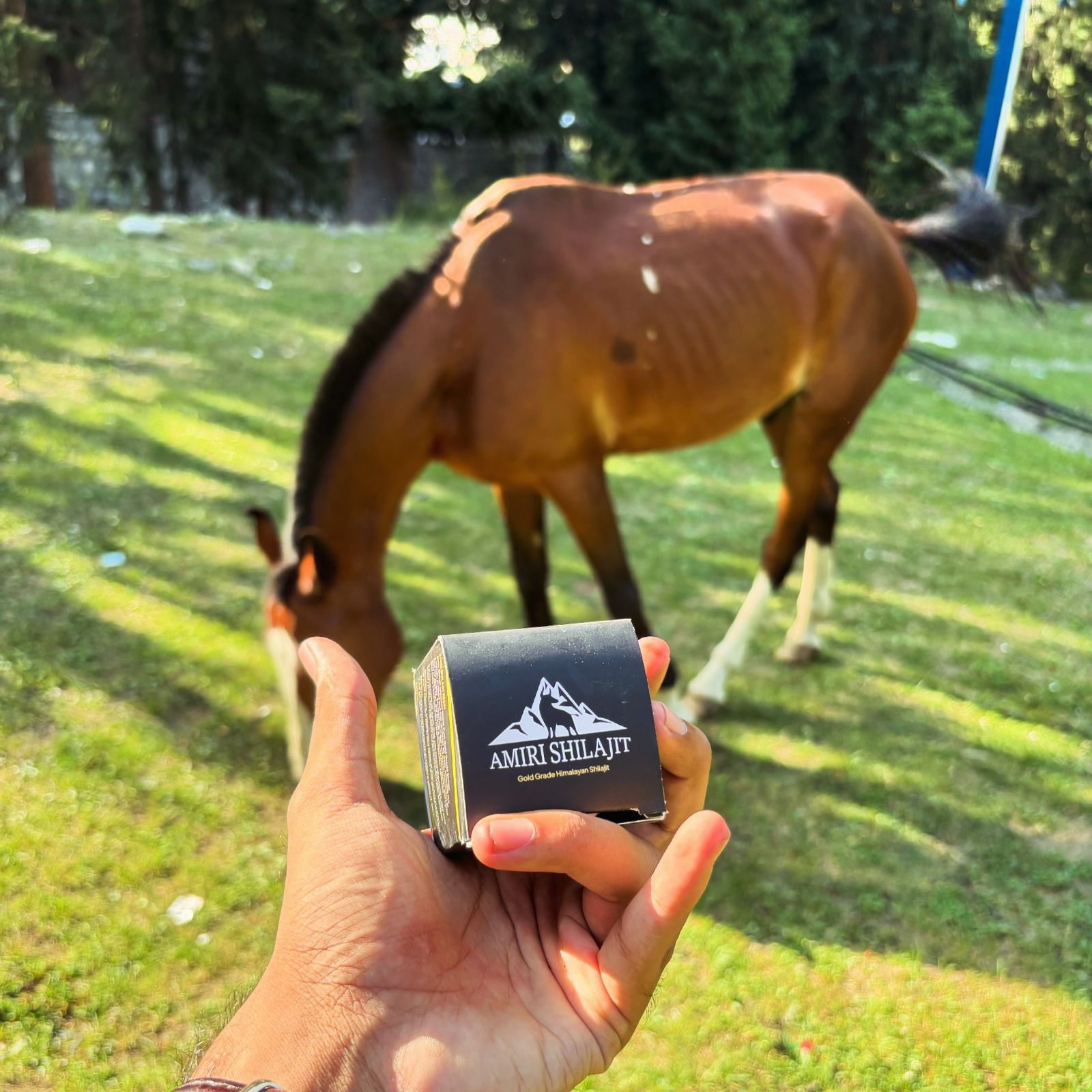 WhatsApp Image 2025-07-30 at 4.19.33 AM